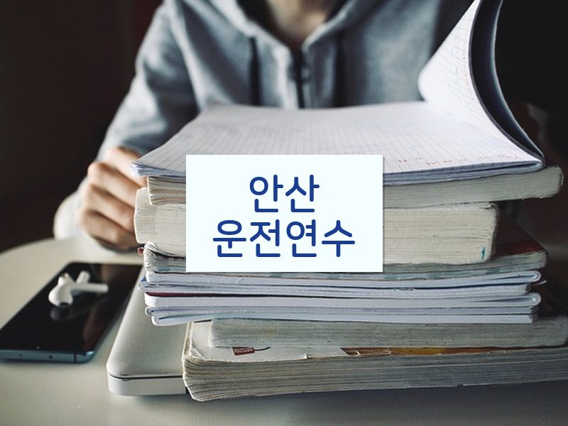 안산운전연수 후기