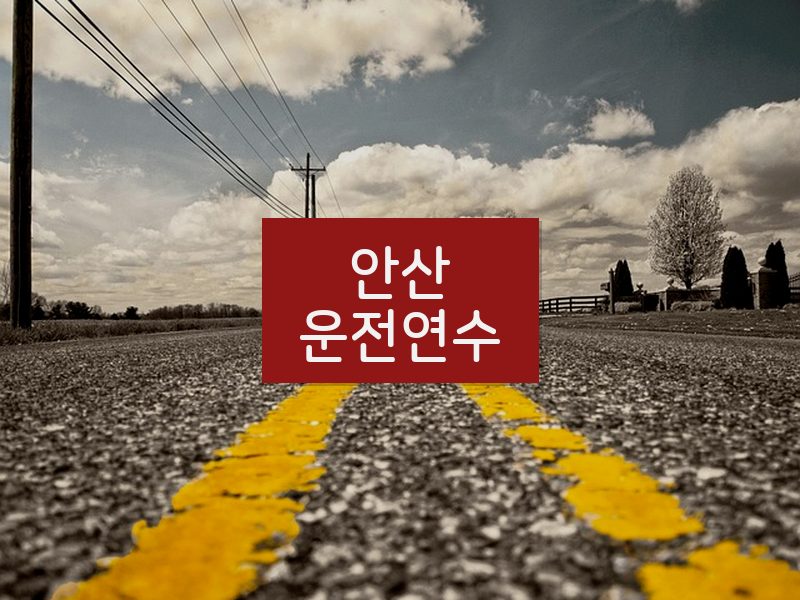 안산운전연수 후기