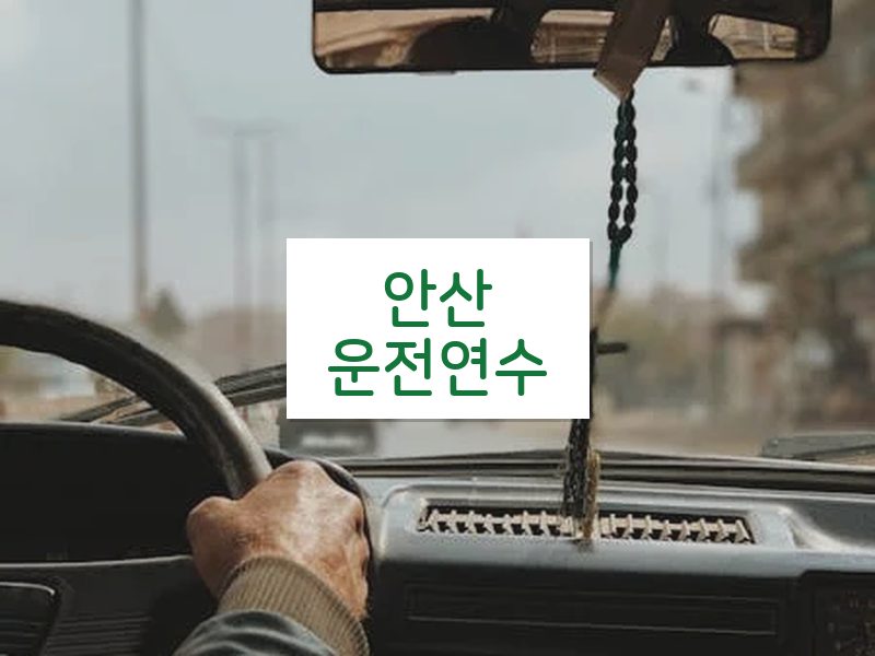 안산운전연수 후기