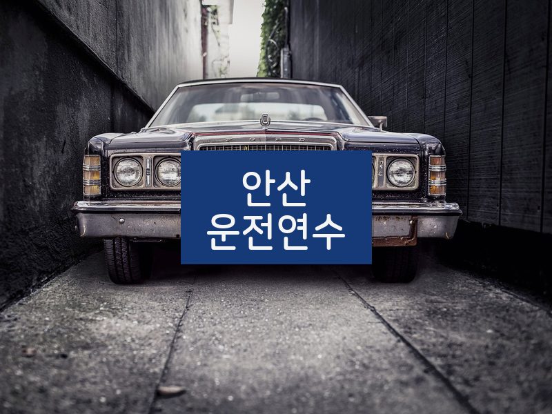 안산운전연수 후기