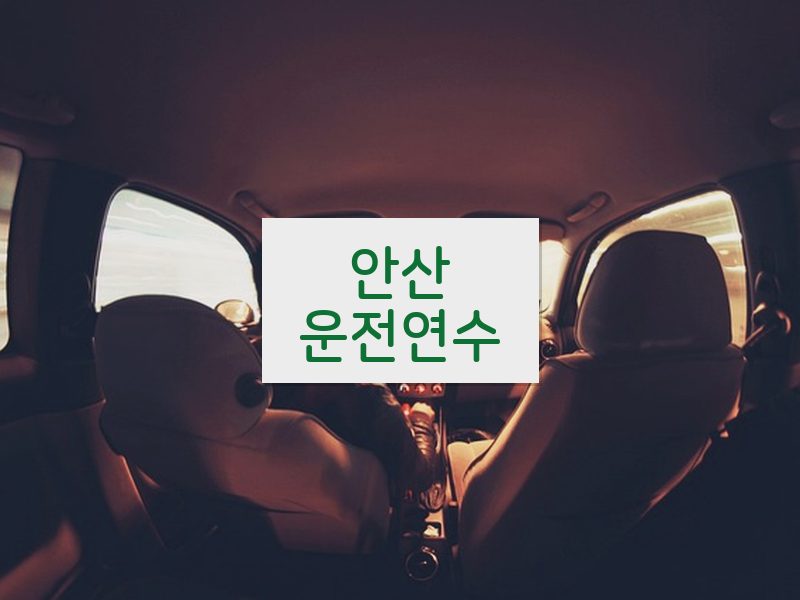 안산운전연수 후기