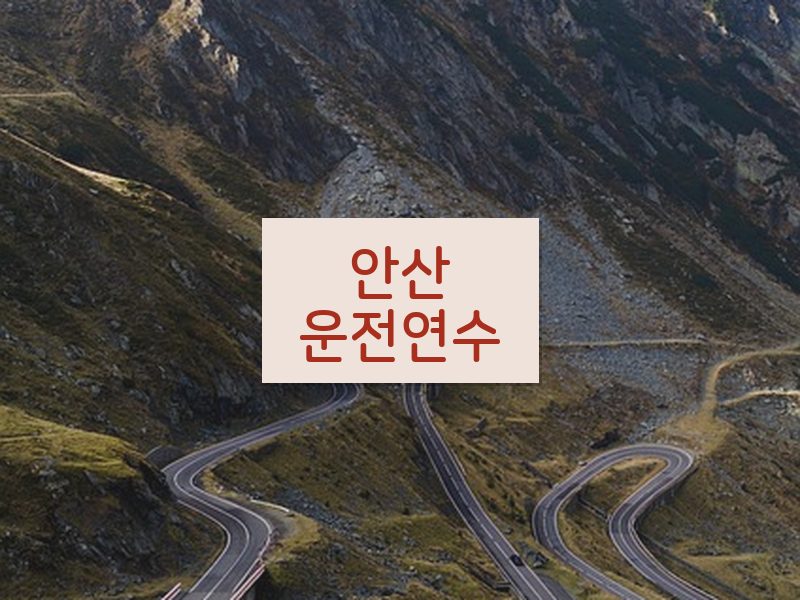 안산운전연수 후기