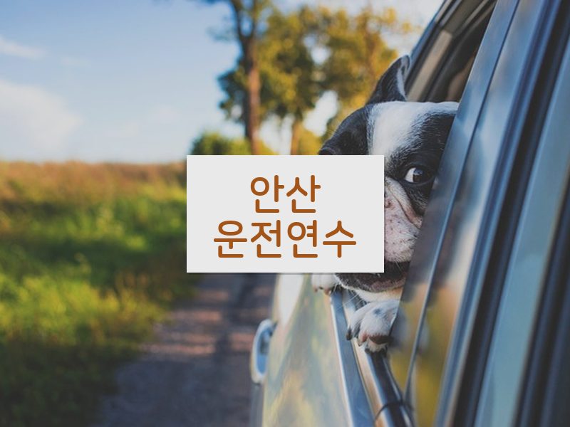 안산운전연수 후기
