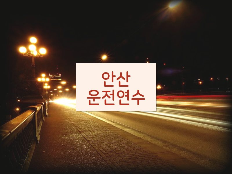 안산운전연수 후기