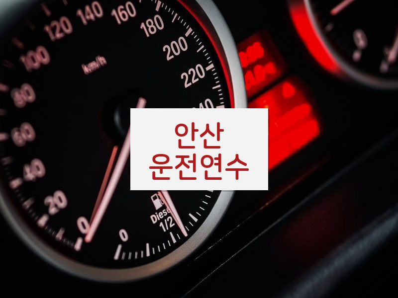 안산운전연수 후기