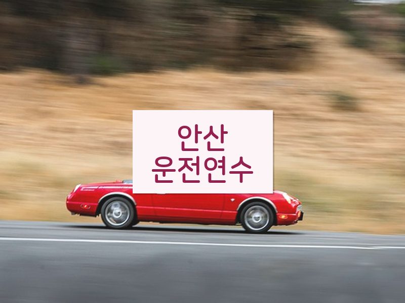안산운전연수 후기