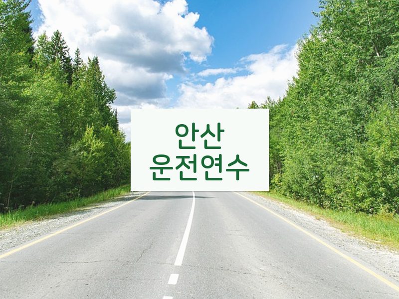 안산운전연수 후기