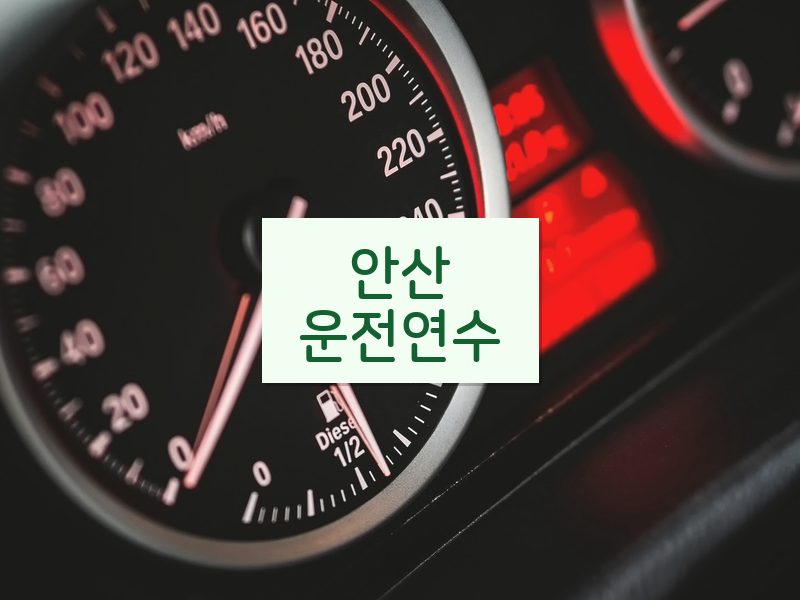 안산운전연수 후기