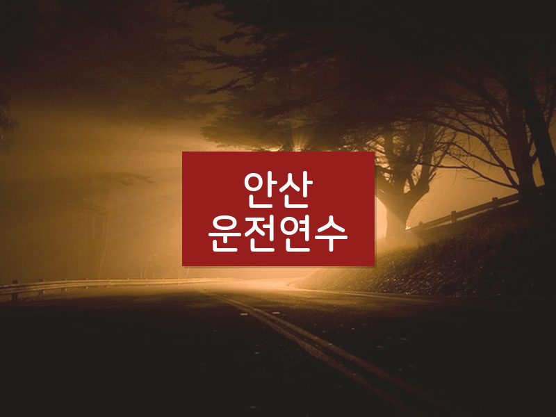 안산운전연수 후기