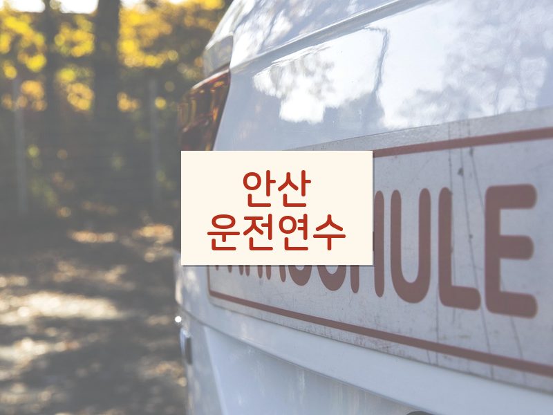 안산운전연수 후기