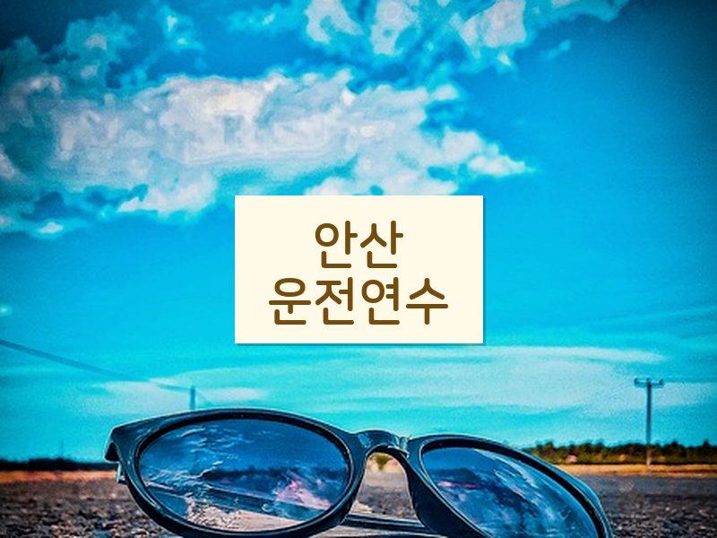 안산운전연수 후기