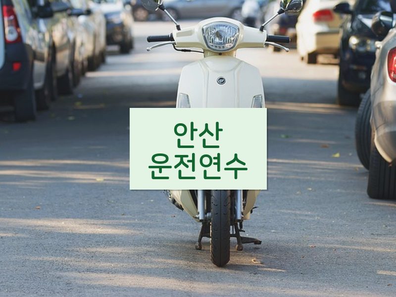 안산운전연수 후기