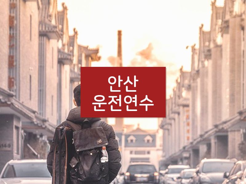 안산운전연수 후기