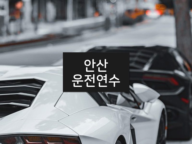 안산운전연수 후기