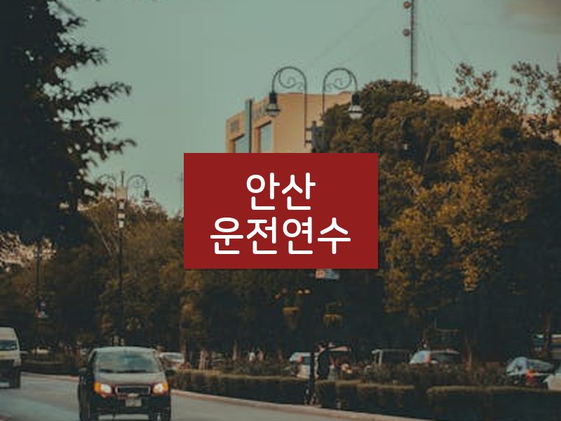 안산운전연수 후기