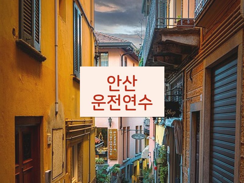 안산운전연수 후기
