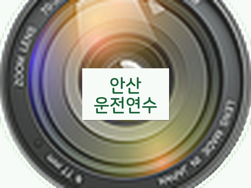 안산운전연수 후기