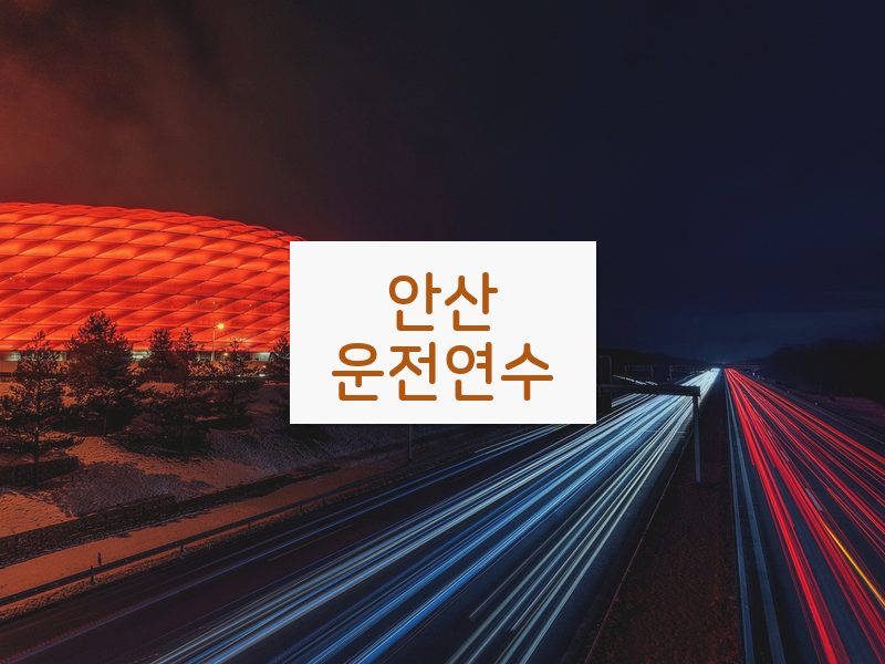안산운전연수 후기