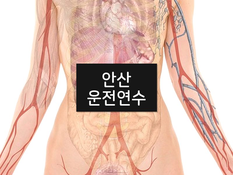 안산운전연수 후기