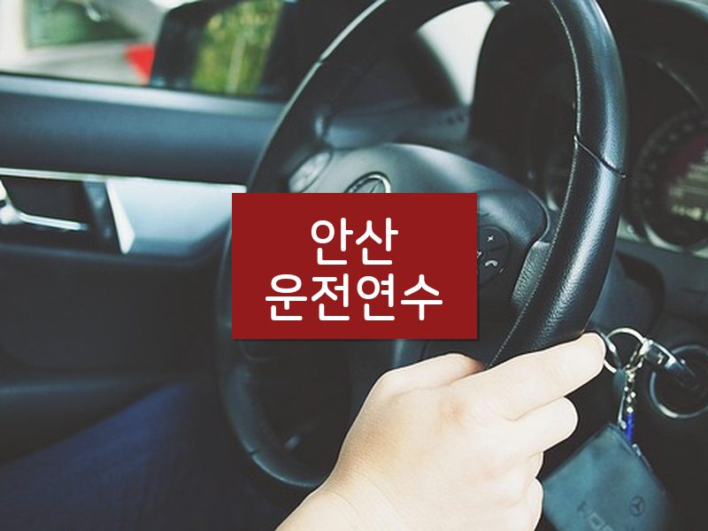안산운전연수 후기