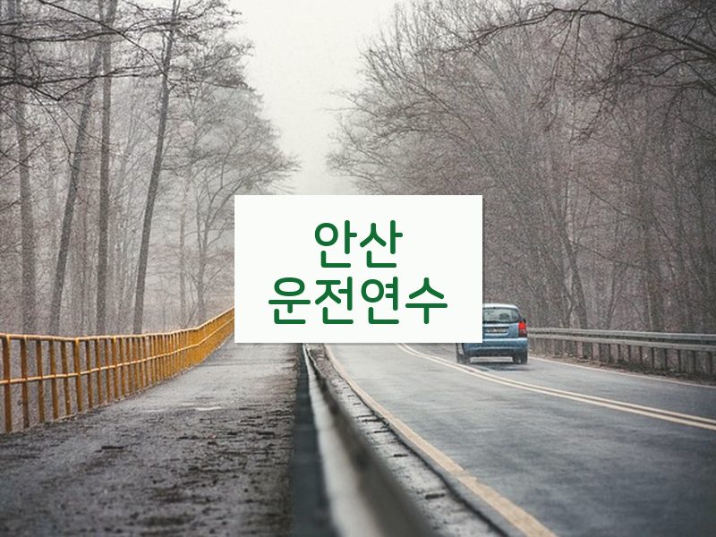 안산운전연수 후기
