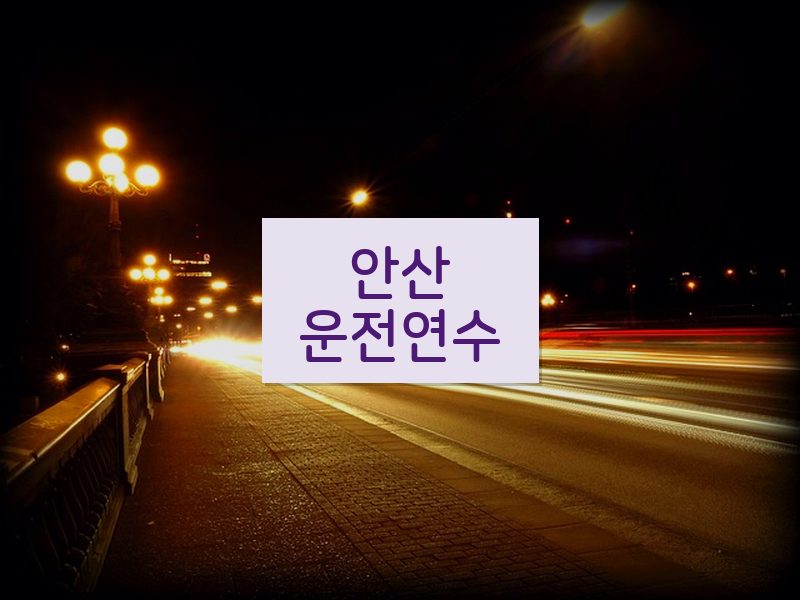 안산운전연수 후기