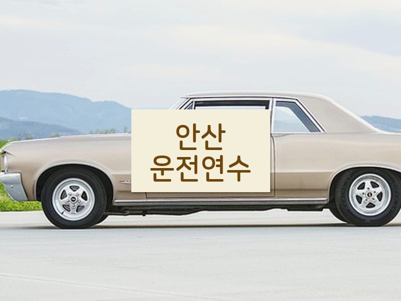 안산운전연수 후기