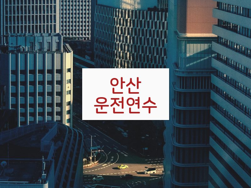 안산운전연수 후기