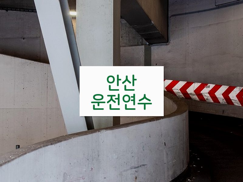 안산운전연수 후기