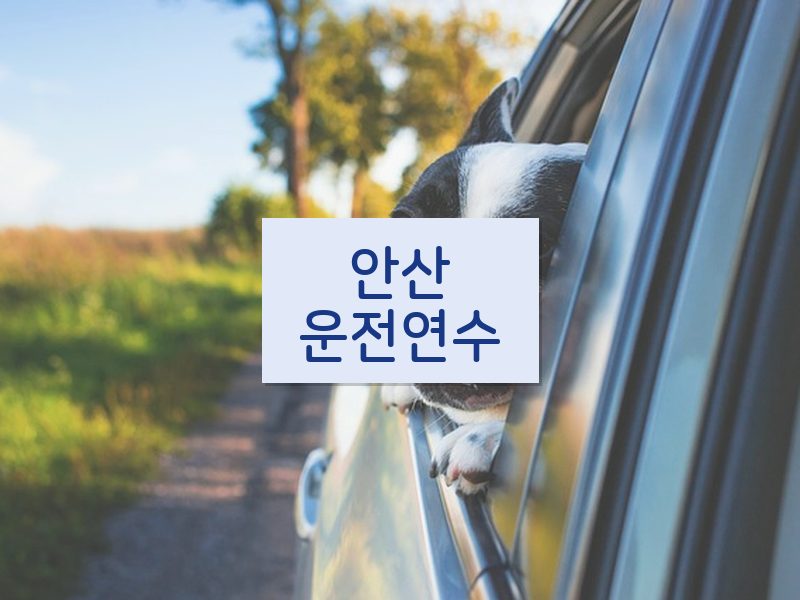 안산운전연수 후기