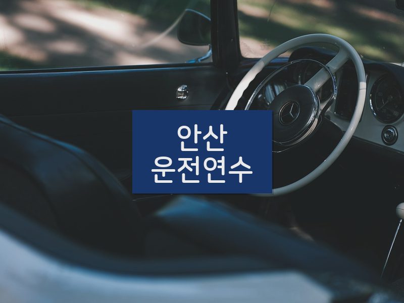 안산운전연수 후기