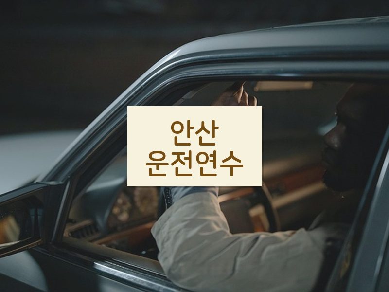 안산운전연수 후기
