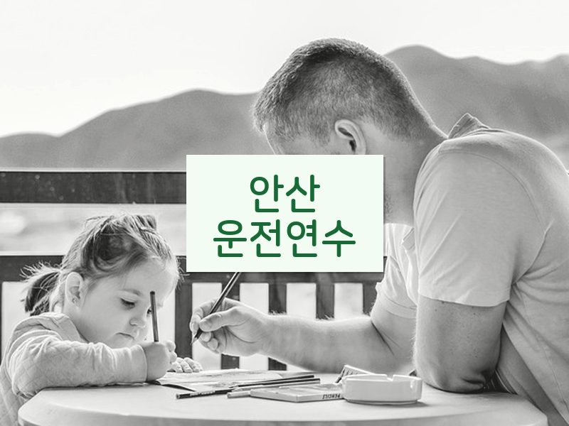 안산운전연수 후기