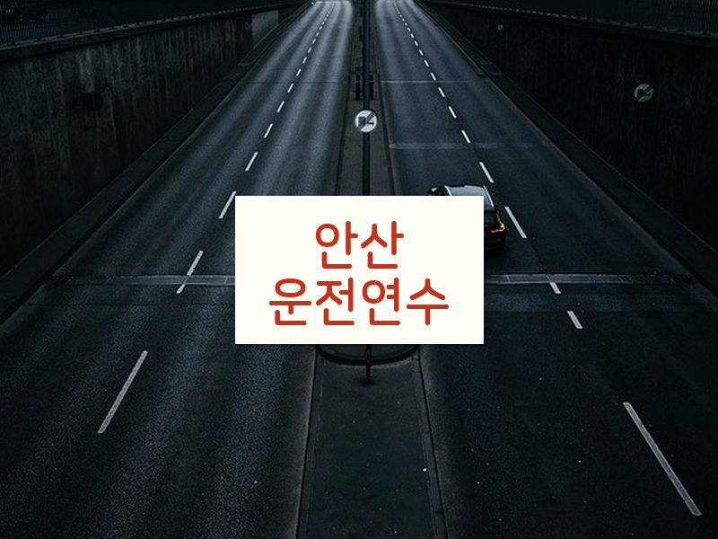 안산운전연수 후기