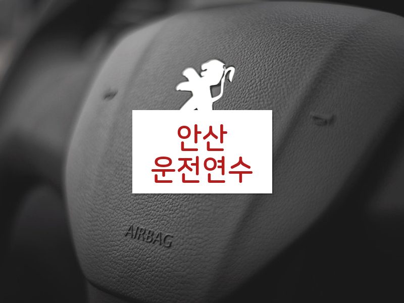 안산운전연수 후기