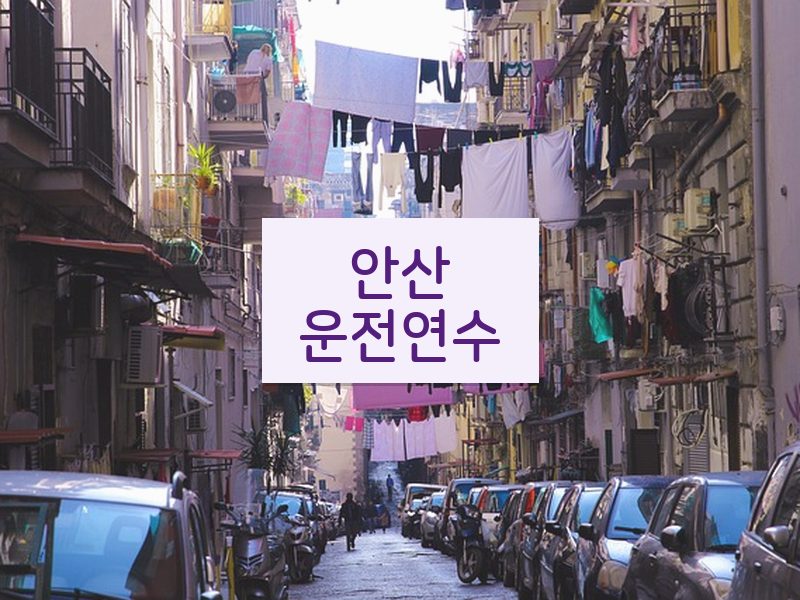 안산운전연수 후기