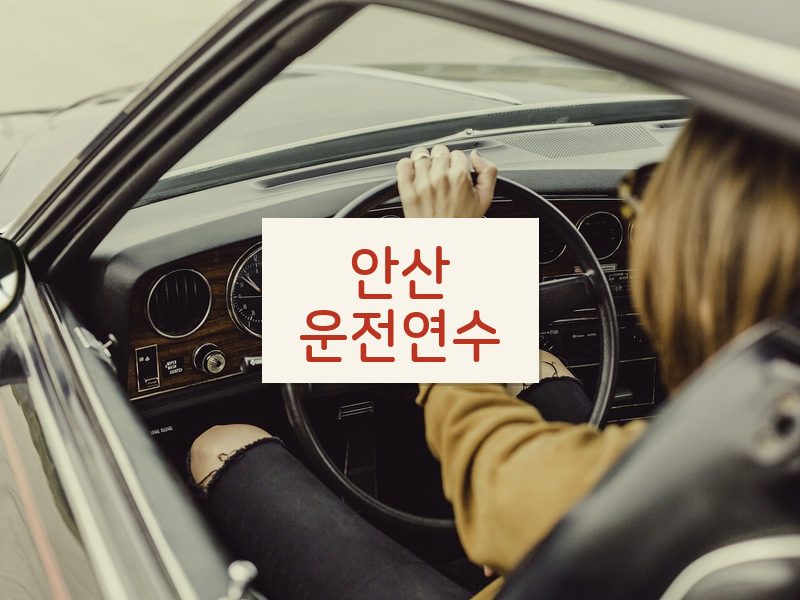 안산운전연수 후기