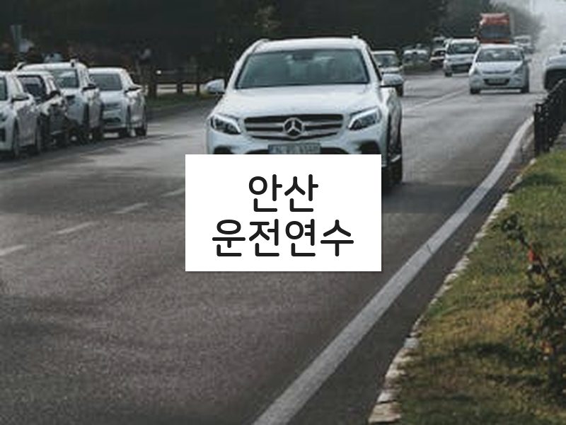 안산운전연수 후기