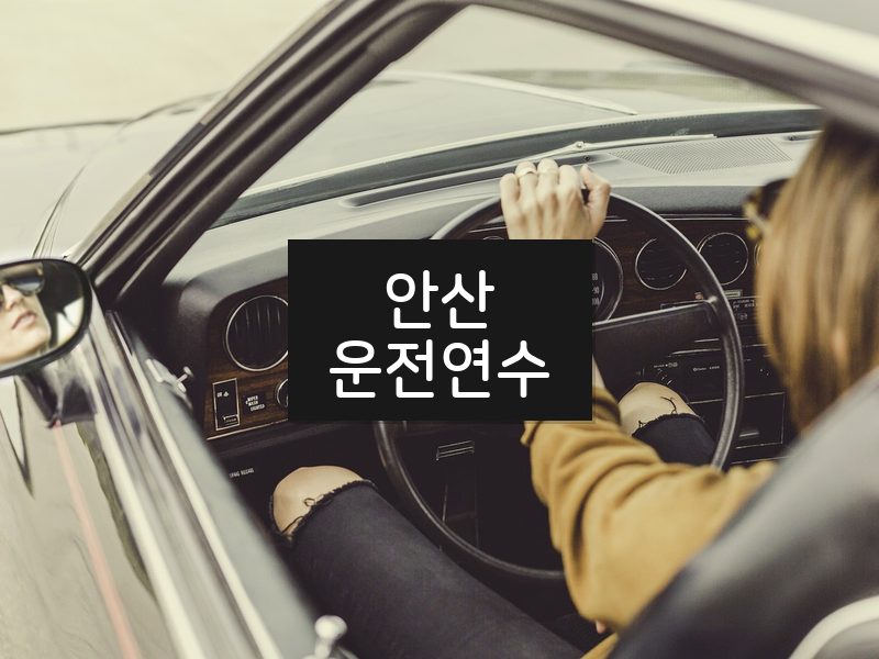 안산운전연수 후기