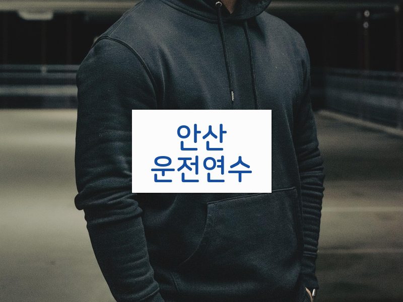 안산운전연수 후기
