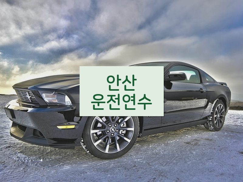 안산운전연수 후기