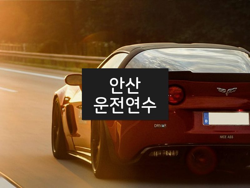안산운전연수 후기