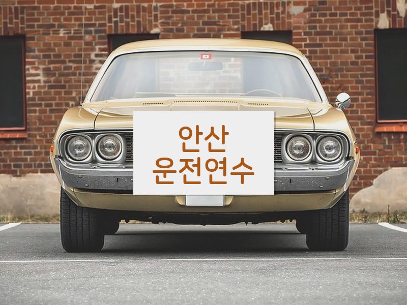 안산운전연수 후기
