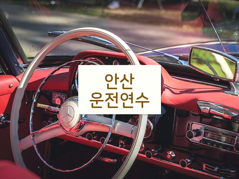 안산운전연수 후기