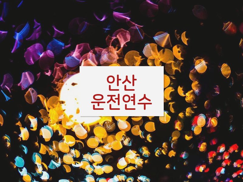 안산운전연수 후기