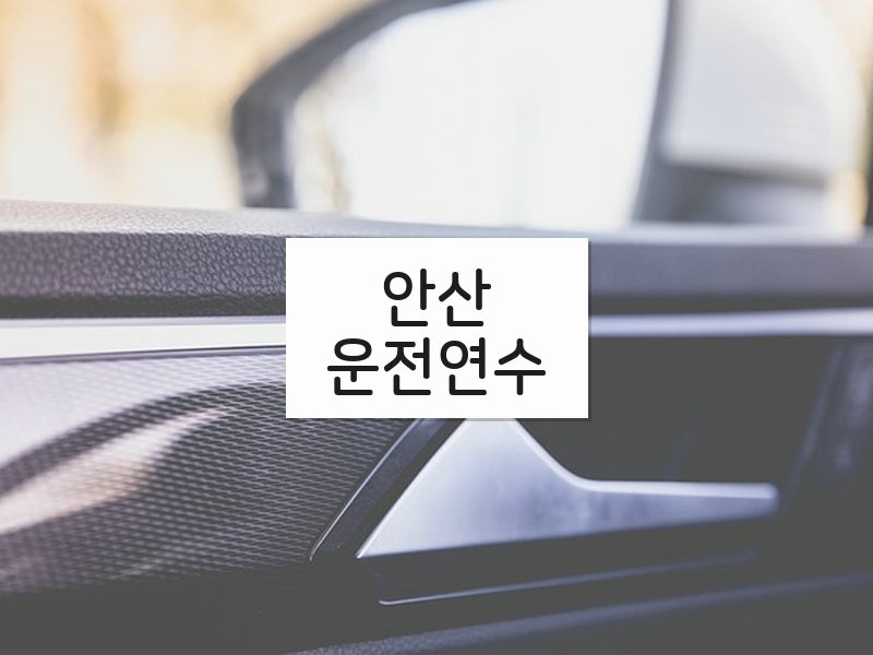 안산운전연수 후기