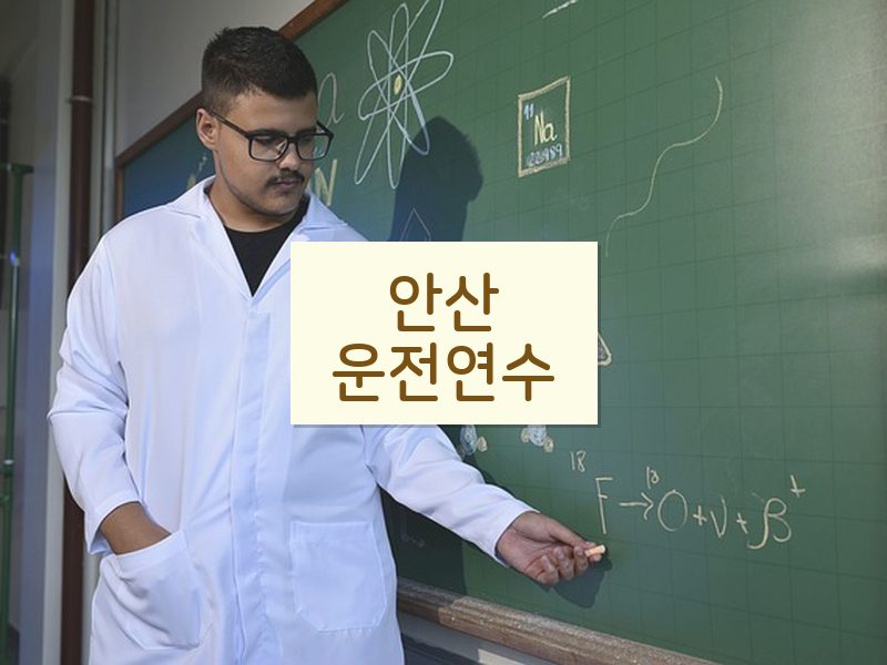 안산운전연수 후기