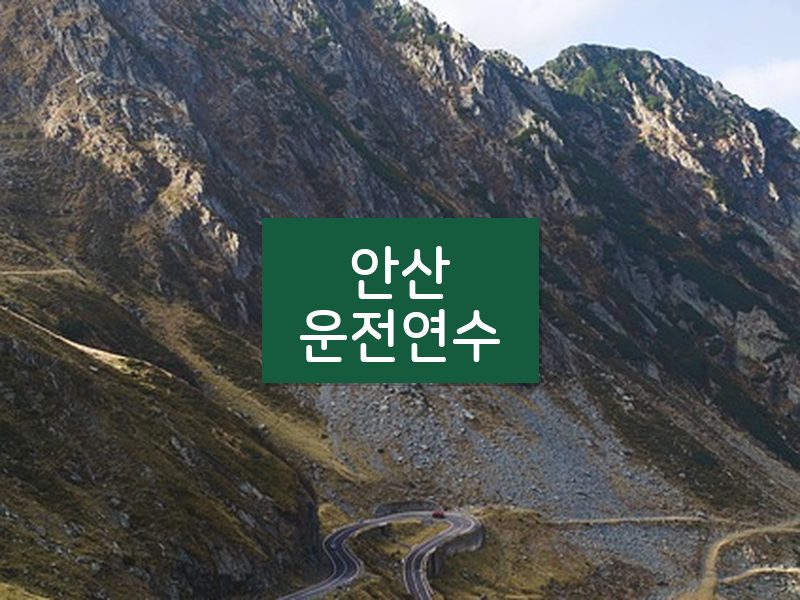 안산운전연수 후기