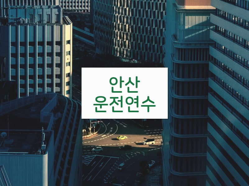 안산운전연수 후기