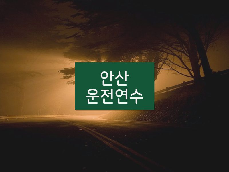안산운전연수 후기
